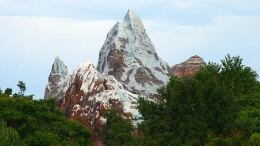 Technical Evangelist